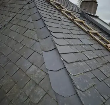 démoussage de toiture Challans-4