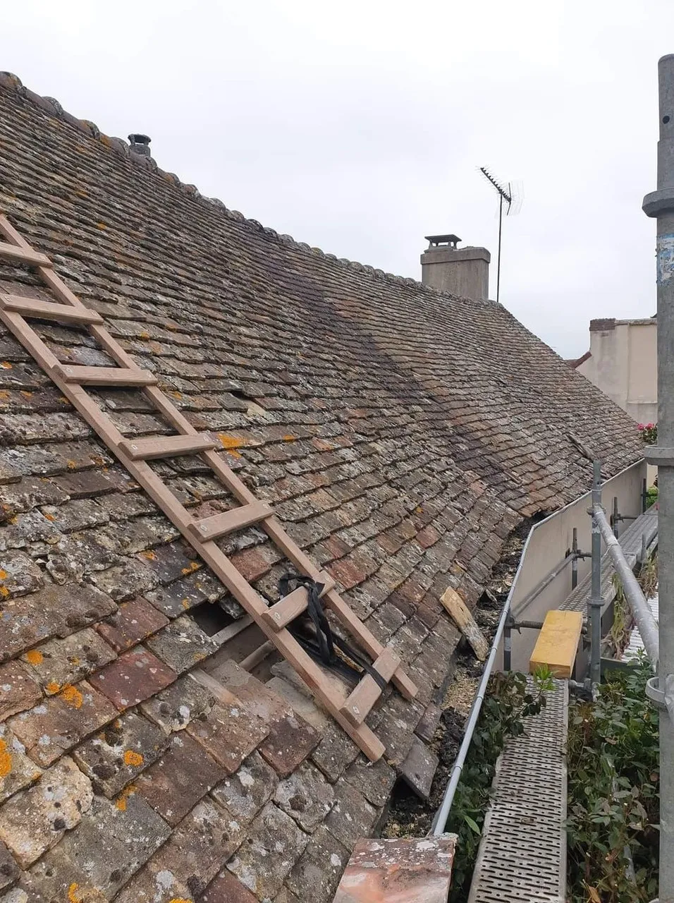 before-image